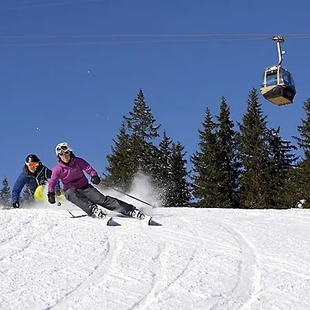 Simmenhof Hotel Lenk